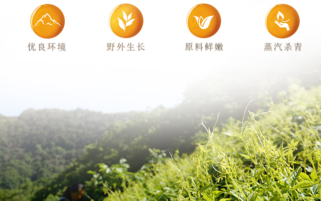 硒谷臻茗品牌logo与食品包装设计欣赏(图3)