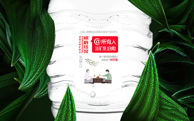 峨眉钰泉品牌logo与食品包装设计欣赏(图2)