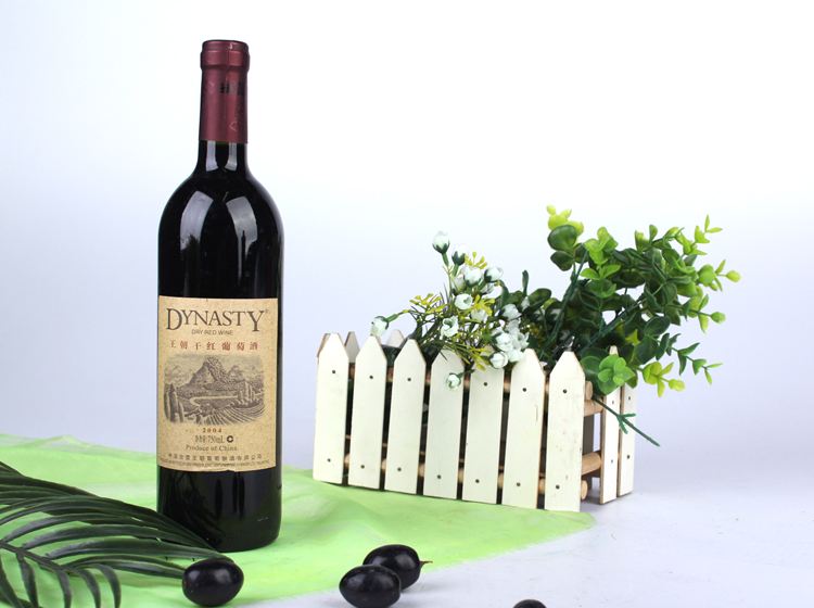 王朝Dynasty品牌logo与食品包装设计欣赏(图3)