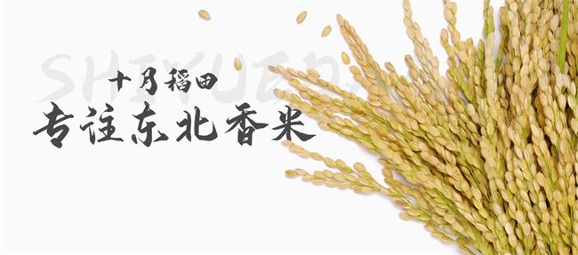 十月稻田大米