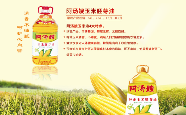 阿汤嫂食品包装设计欣赏(图4)
