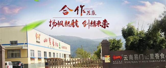 山里香食品包装设计欣赏(图4)