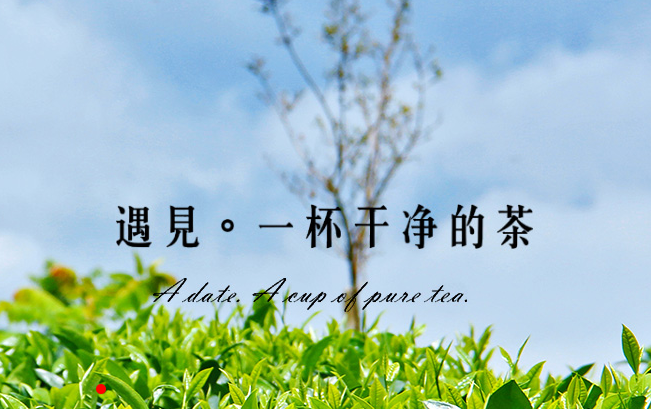 祖祥有机茶 祖祥食品包装设计欣赏(图2)