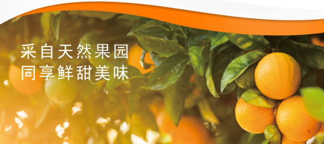 TONGFA同发食品包装设计欣赏(图2)