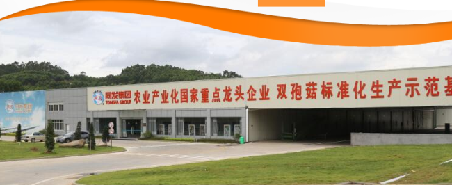 TONGFA同发食品包装设计欣赏(图3)