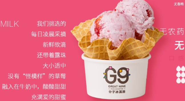 G9食品包装设计欣赏(图3)