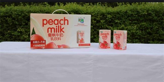 阿新食品包装设计欣赏(图3)