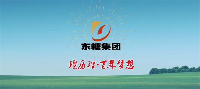 白莲牌食品包装设计欣赏(图2)