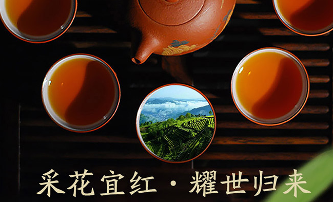 采花 采花食品包装设计欣赏(图4)