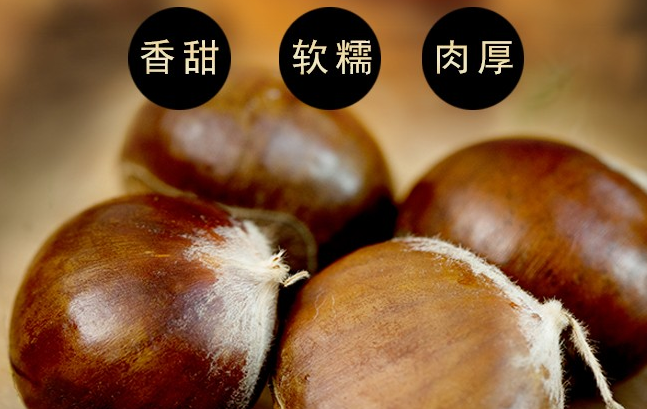 北菜园食品包装设计欣赏(图3)