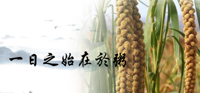 黄粱圆食品包装设计欣赏(图4)