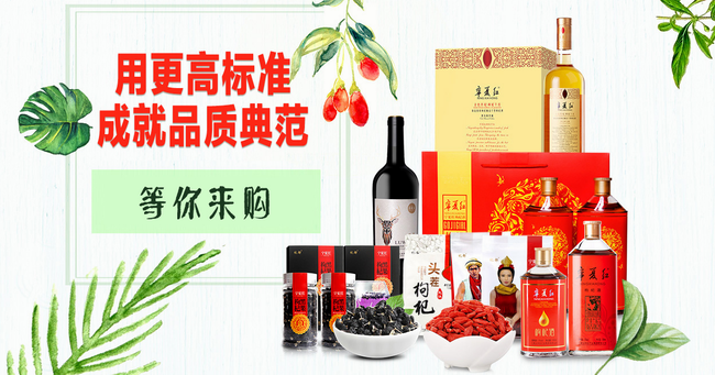 宁夏红食品包装设计欣赏(图2)