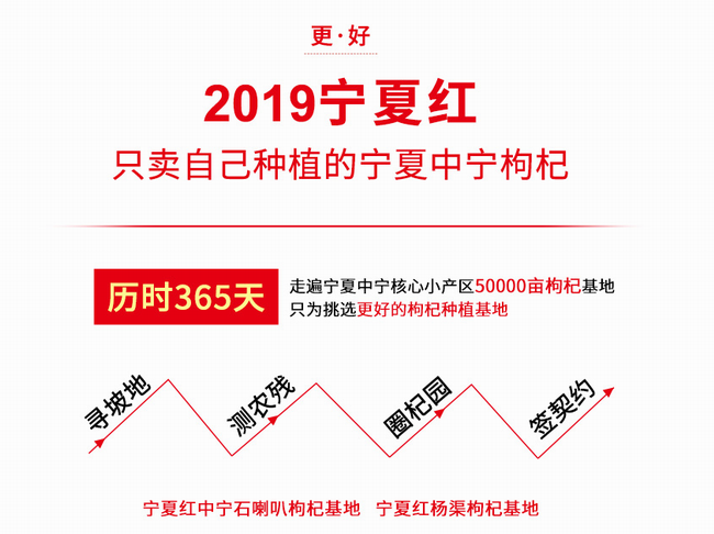 宁夏红食品包装设计欣赏(图3)
