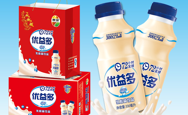 椰田食品包装设计欣赏(图2)