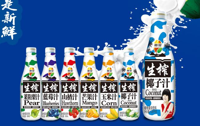 椰田食品包装设计欣赏(图4)