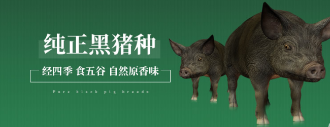 徒河食品包装设计欣赏(图2)