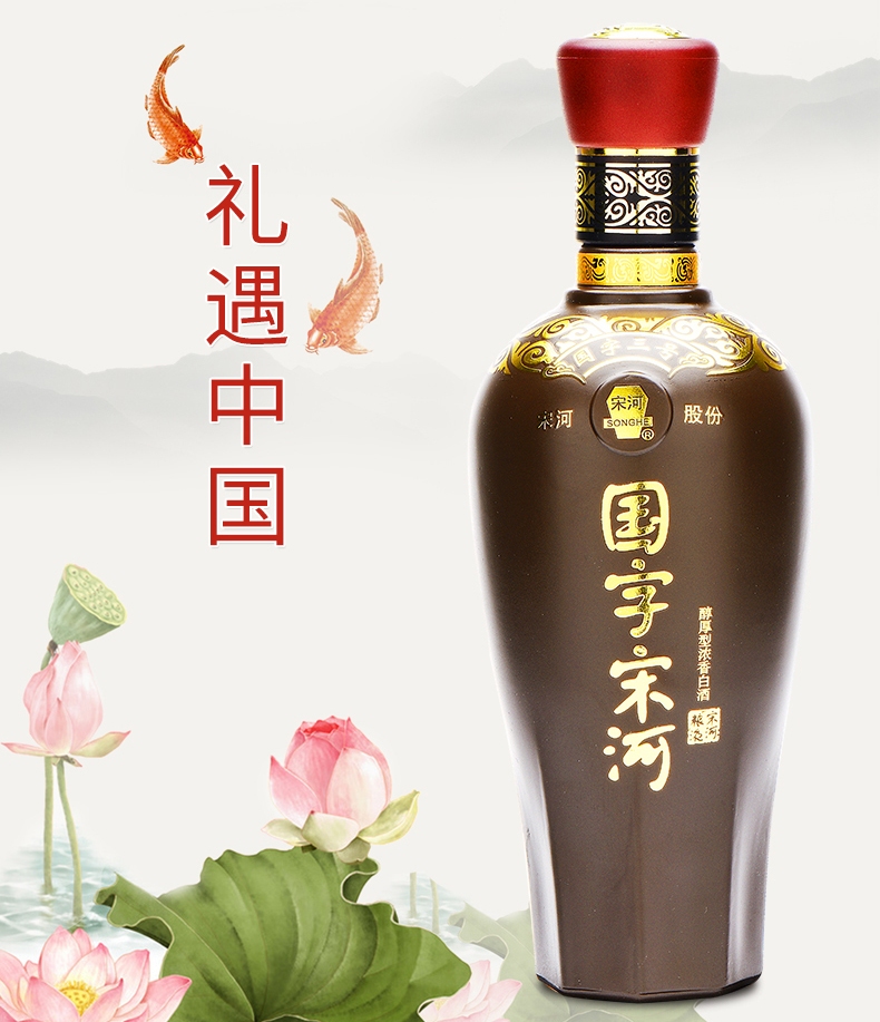 宋河 宋河食品包装设计欣赏(图3)