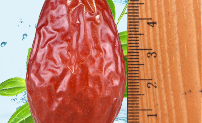 树德食品包装设计欣赏(图4)