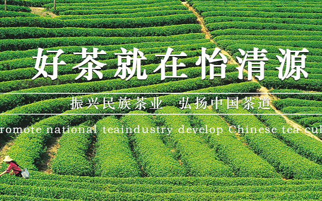 怡清源黑茶 怡清源食品包装设计欣赏(图2)